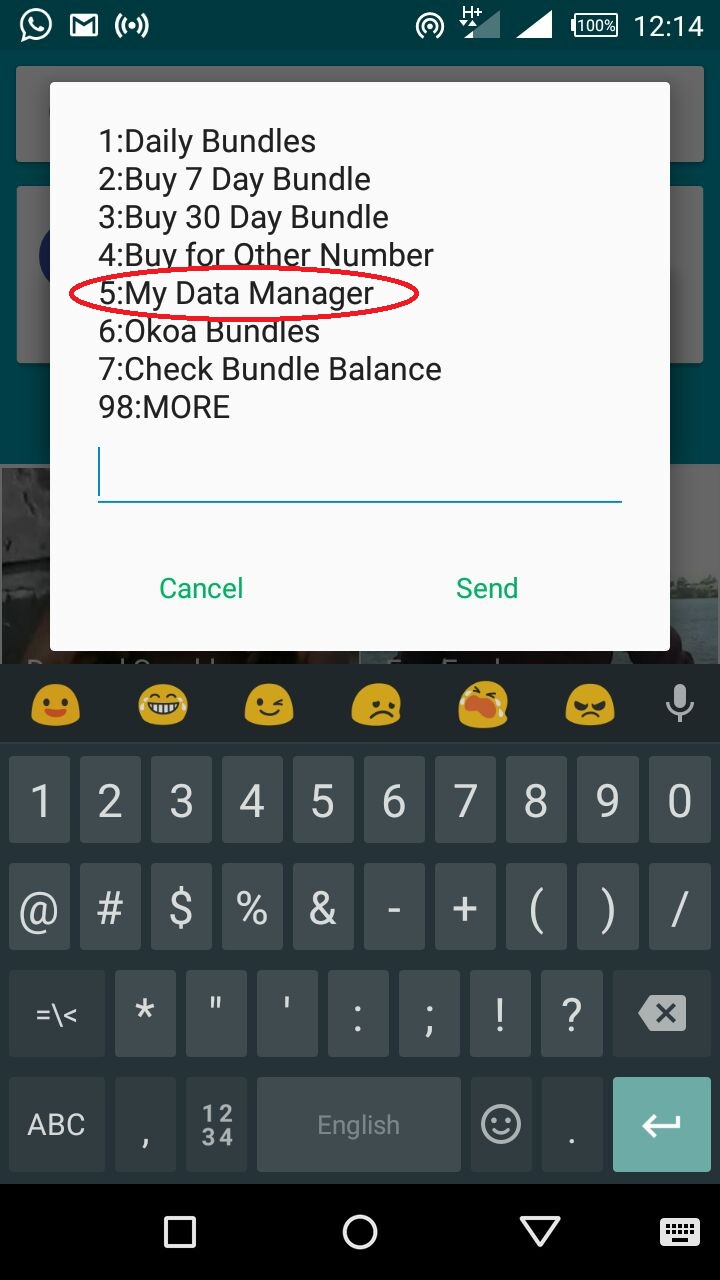 Safaricom My Data Manager