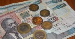 treasury bills